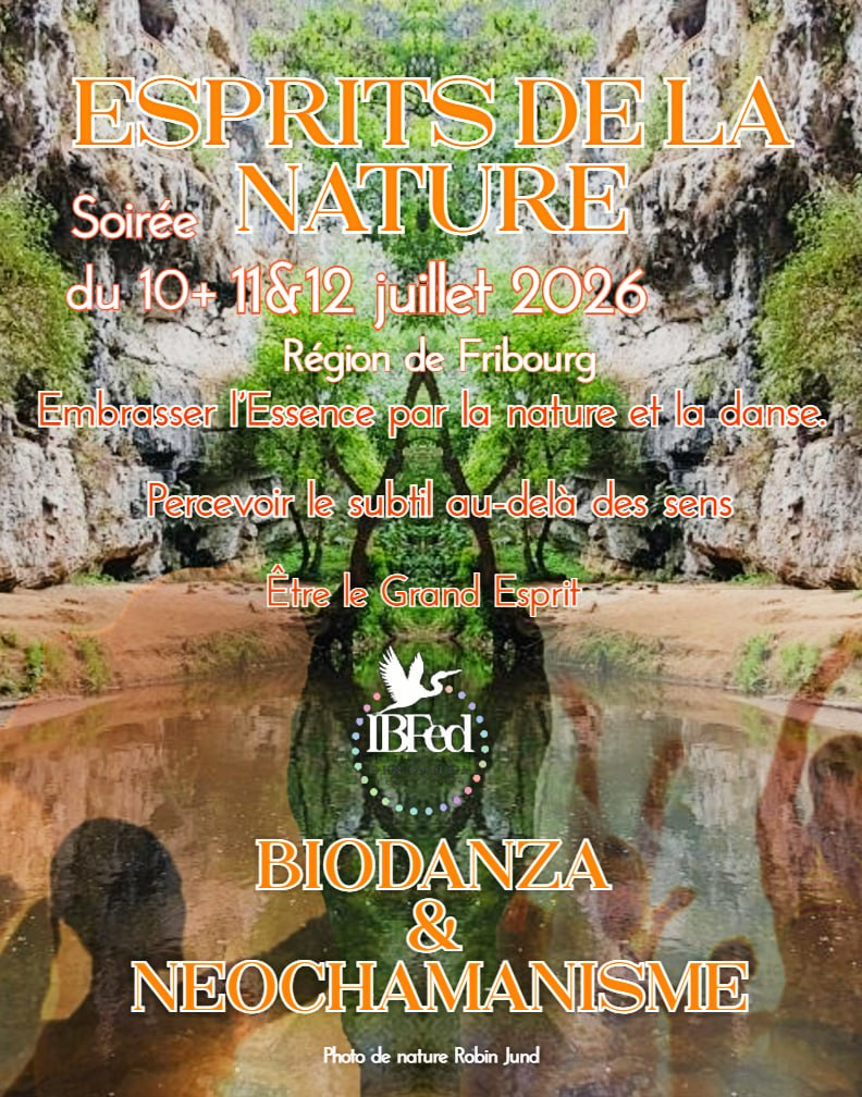 flyer stage été 26